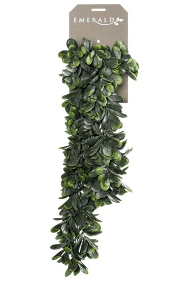 Grassula hangplant kunstplant