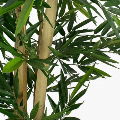  Bambus artificielles