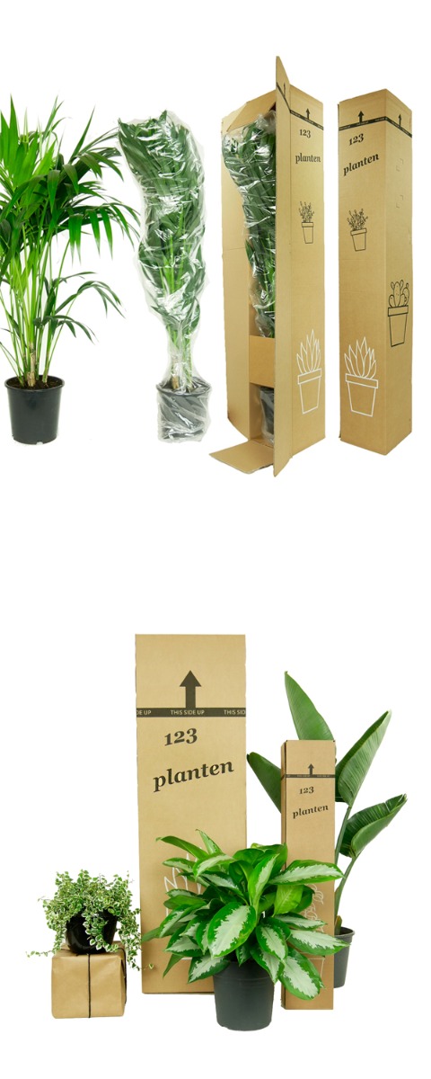 Plantes emballées 123plants